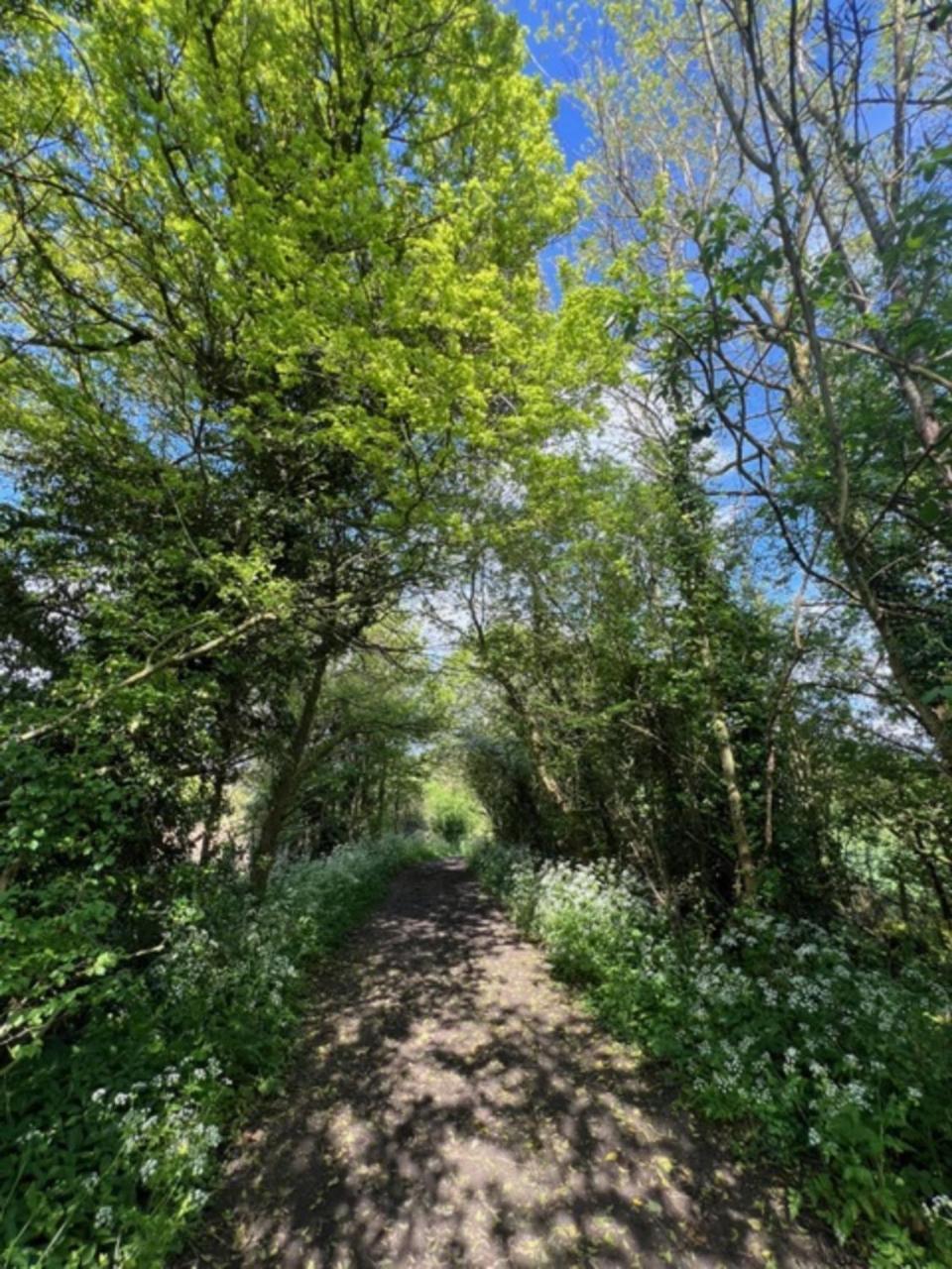 فيلا Idyllic Secluded Hideaway With Countryside Views On The Edge Of The Cotswolds Hailey المظهر الخارجي الصورة