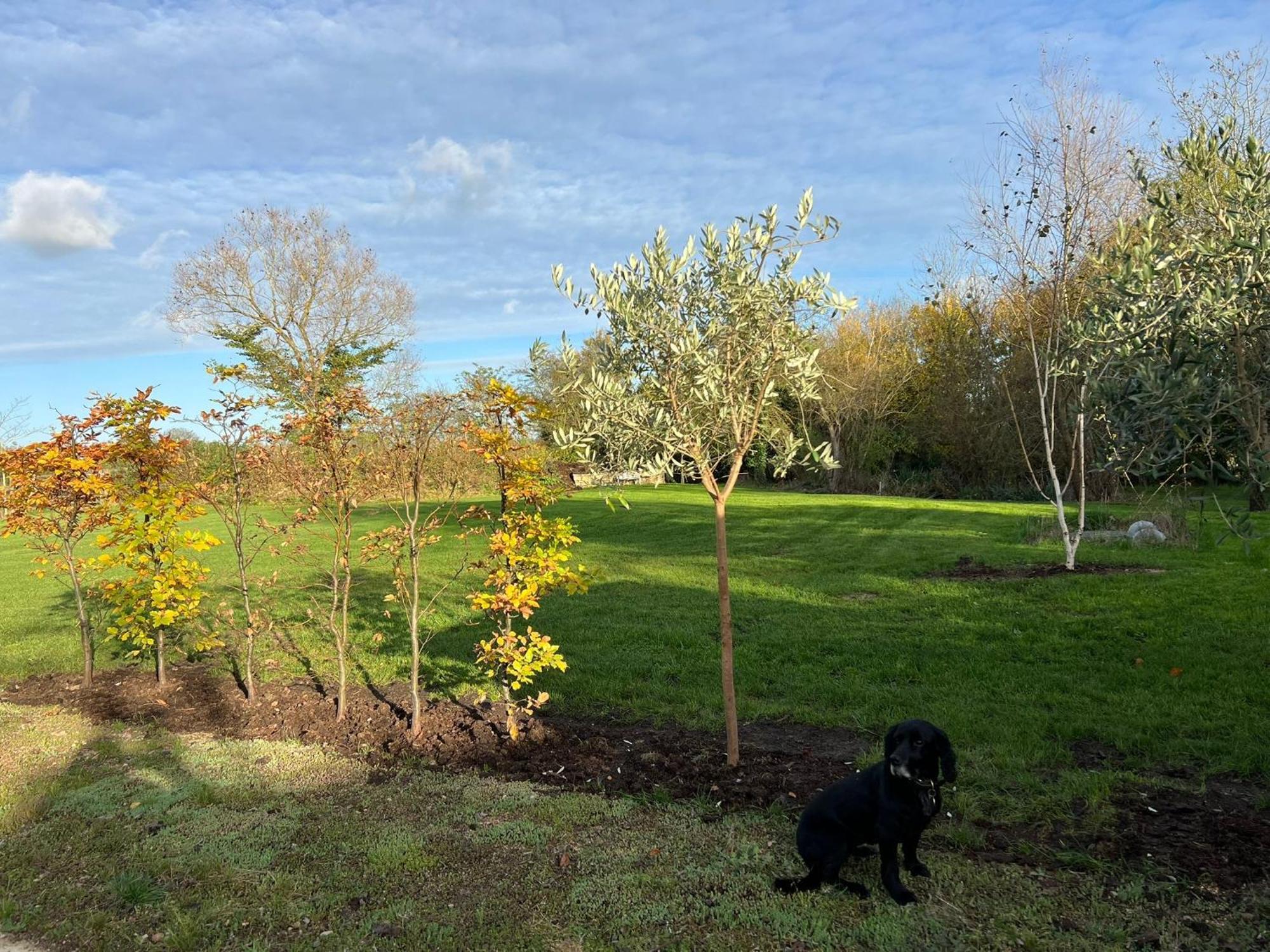 فيلا Idyllic Secluded Hideaway With Countryside Views On The Edge Of The Cotswolds Hailey المظهر الخارجي الصورة